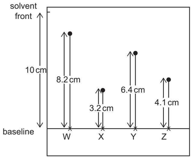 Exam diagram