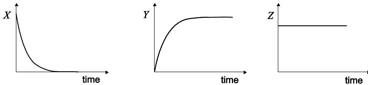 Exam diagram
