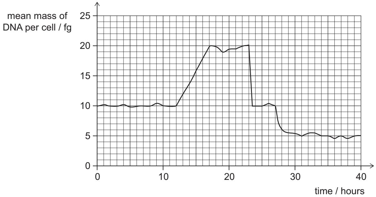 Exam diagram