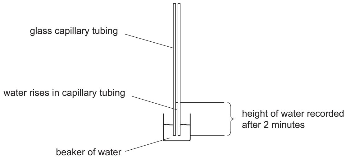 Exam diagram