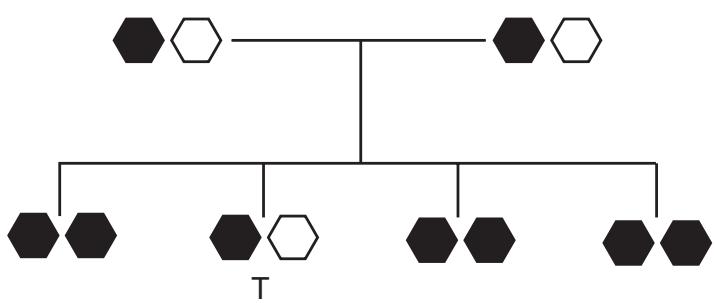 Exam diagram