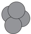 Exam diagram