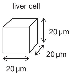 Exam diagram