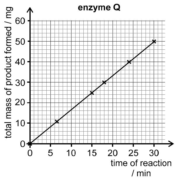 Exam diagram