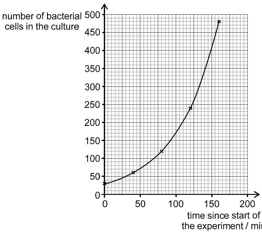 Exam diagram