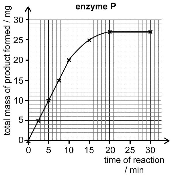 Exam diagram