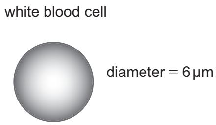 Exam diagram