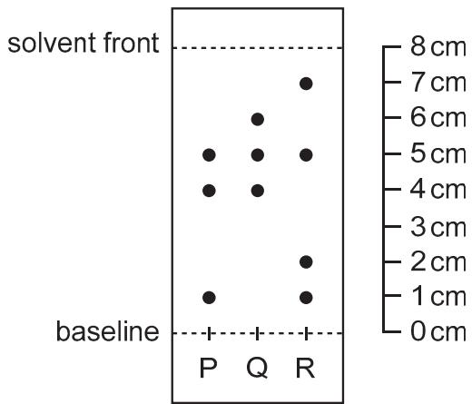Exam diagram