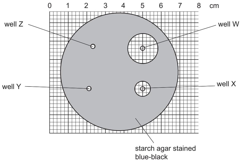 Exam diagram