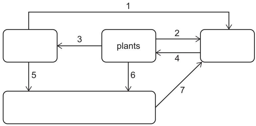 Exam diagram