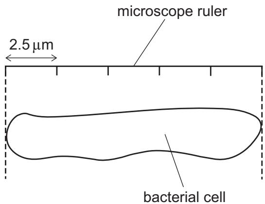 Exam diagram