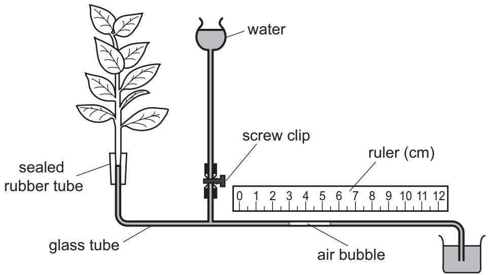 Exam diagram