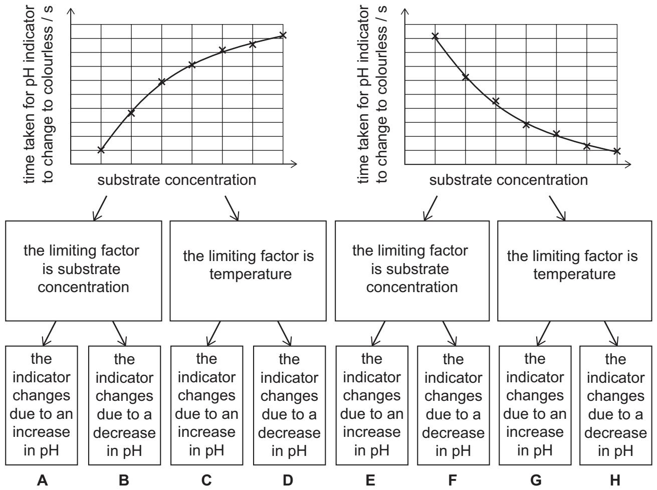 Exam diagram