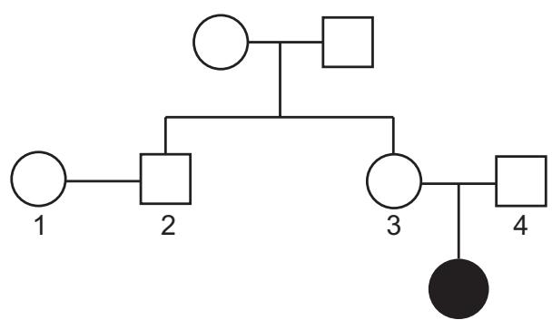 Exam diagram