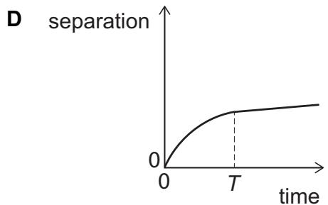 Exam diagram