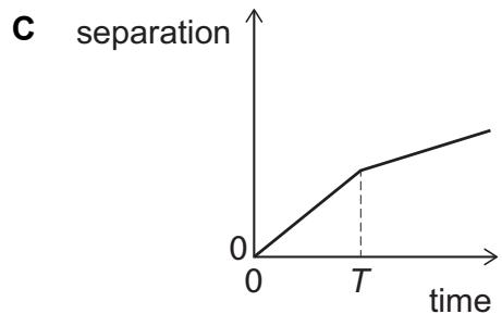 Exam diagram