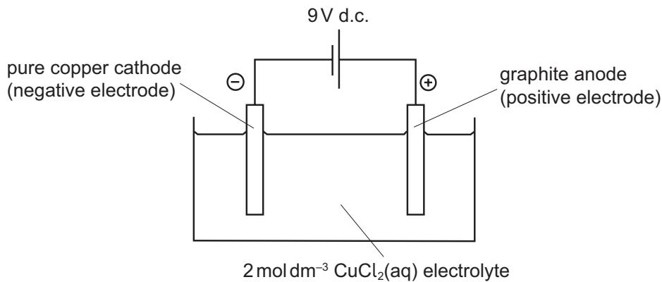 Exam diagram