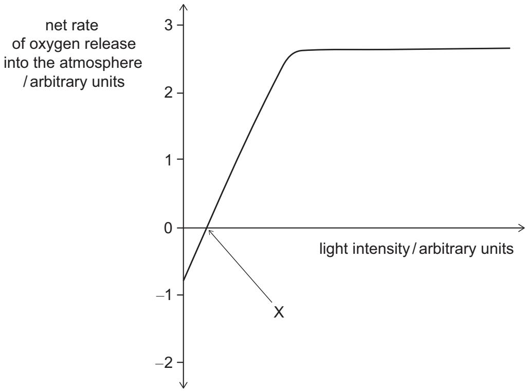 Exam diagram