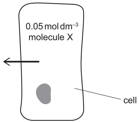 Exam diagram