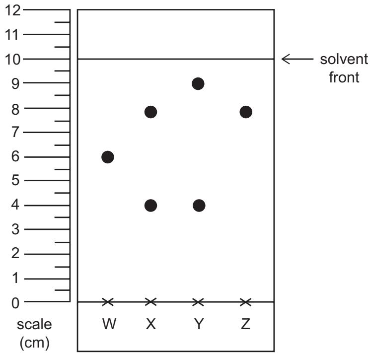 Exam diagram