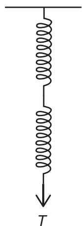 Exam diagram