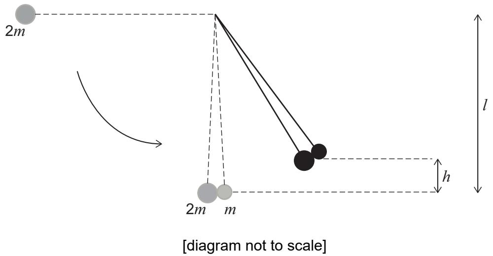 Exam diagram