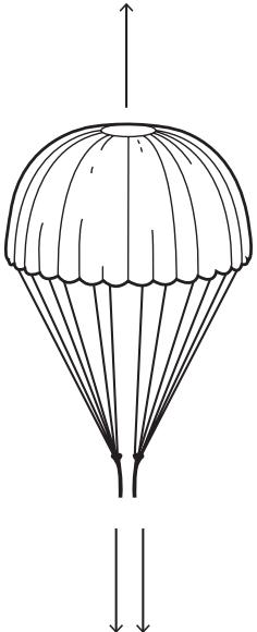 Exam diagram