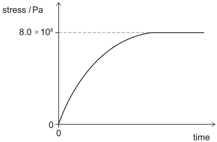 Exam diagram