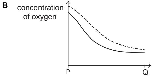 Exam diagram