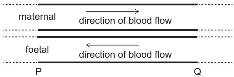 Exam diagram