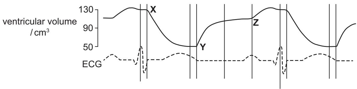 Exam diagram