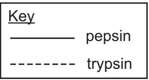 Exam diagram