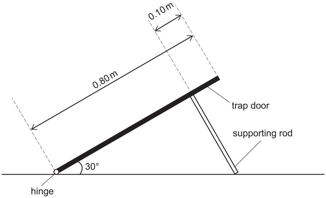 Exam diagram