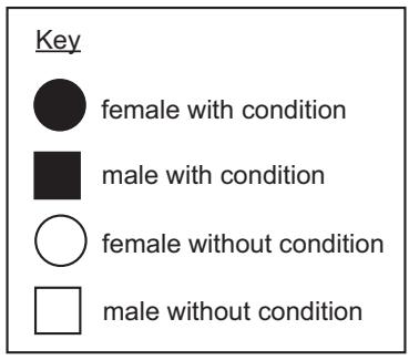 Exam diagram