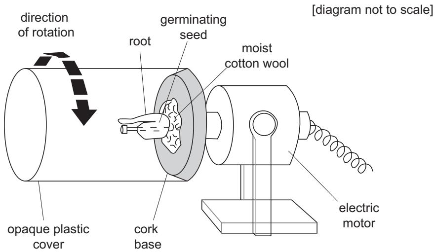Exam diagram