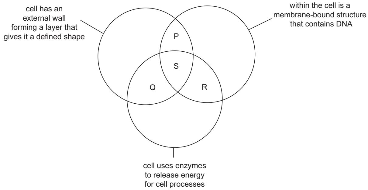 Exam diagram