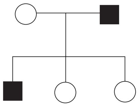 Exam diagram