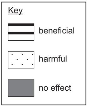 Exam diagram