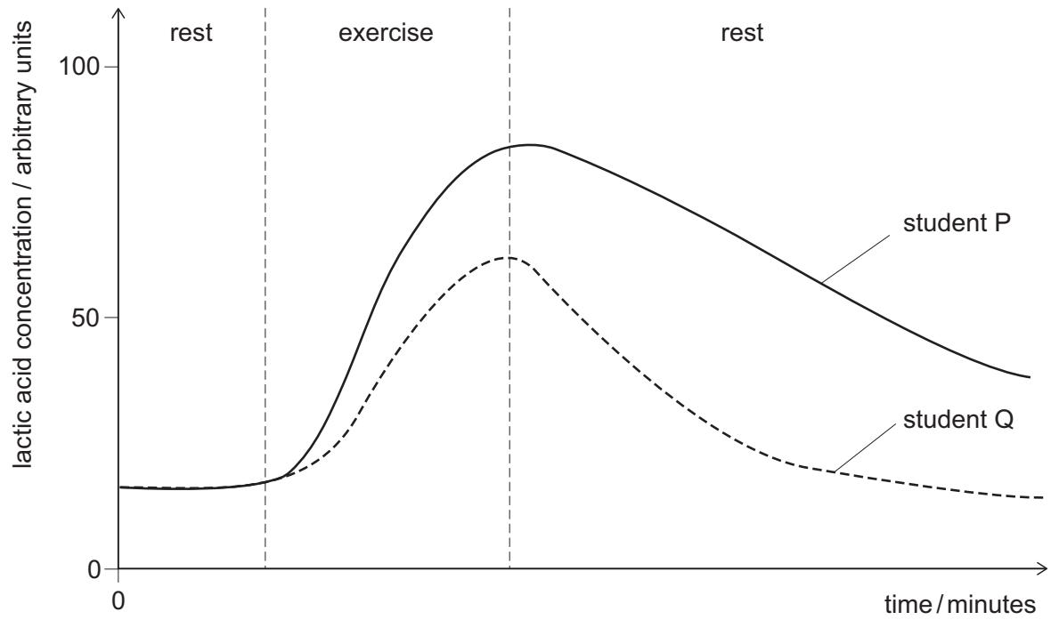 Exam diagram