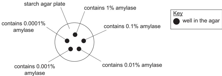 Exam diagram