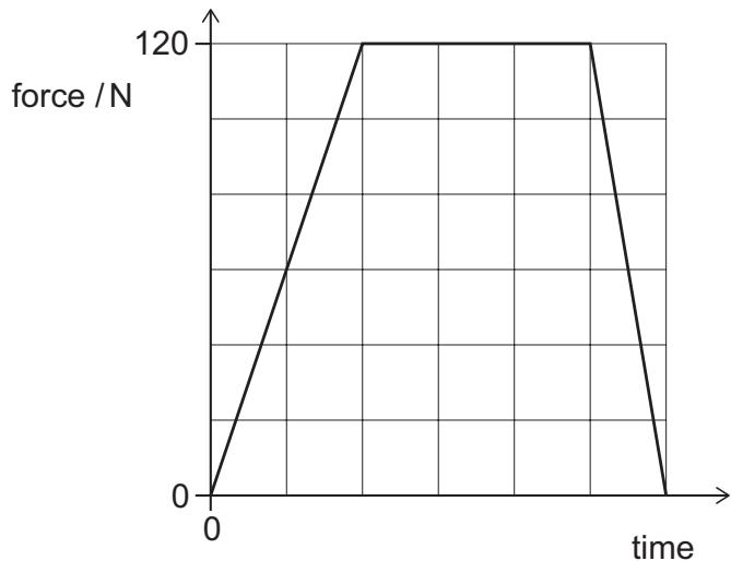 Exam diagram