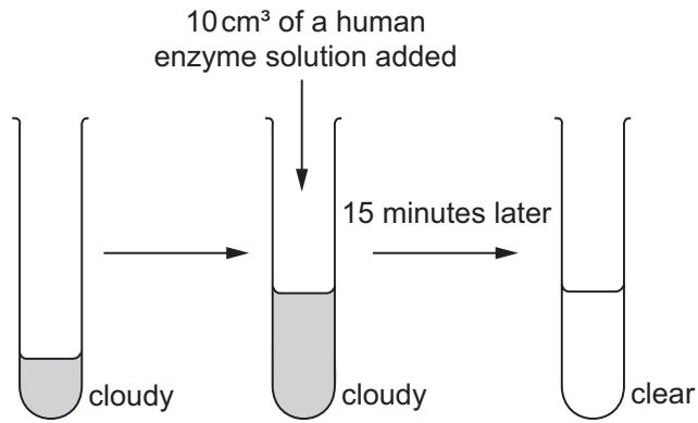 Exam diagram