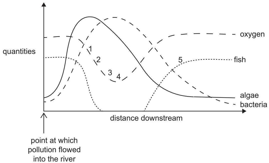 Exam diagram