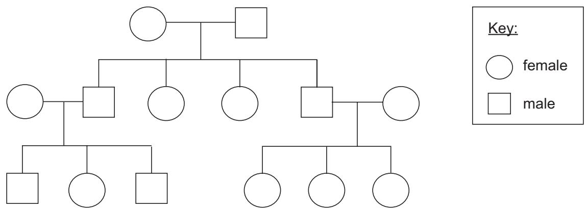 Exam diagram