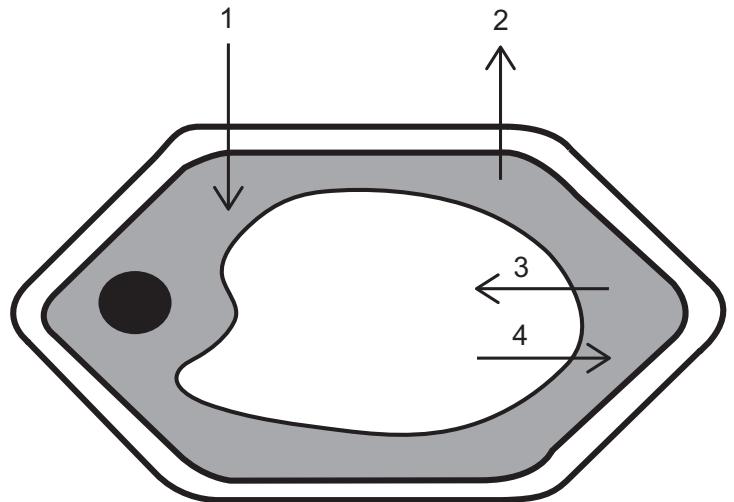 Exam diagram