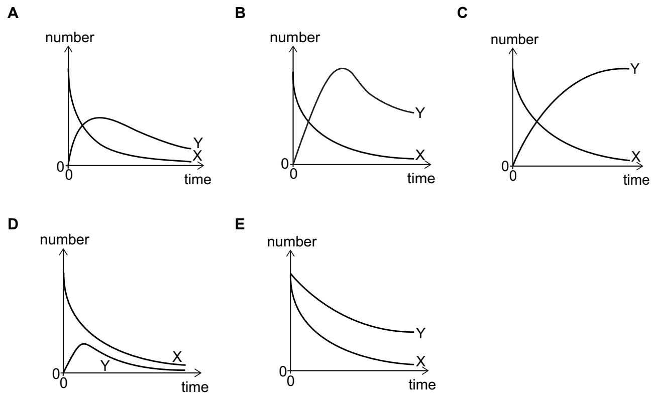 Exam diagram