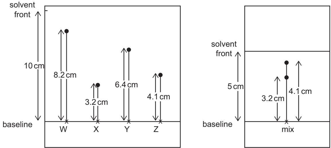 Exam diagram