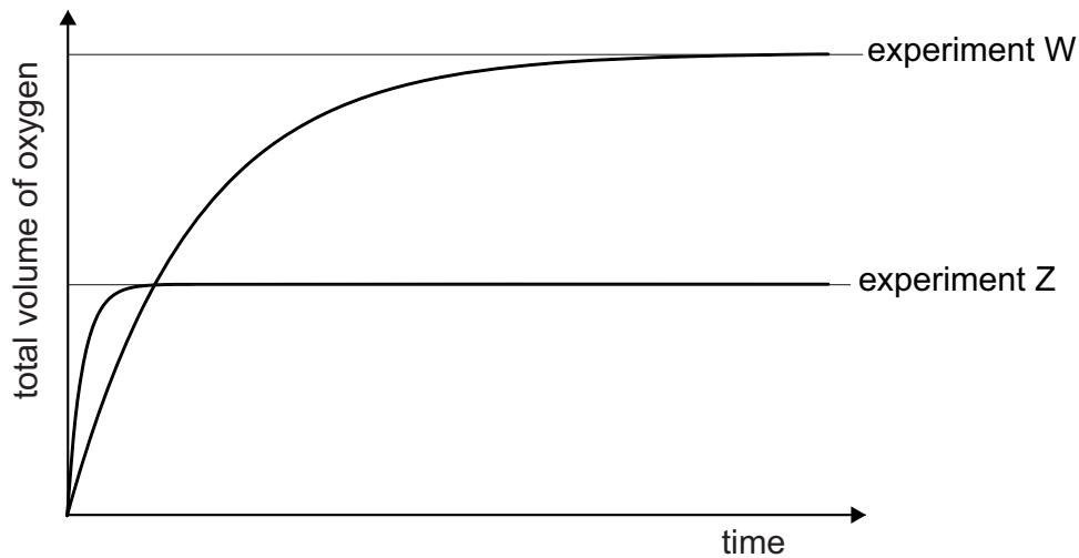 Exam diagram