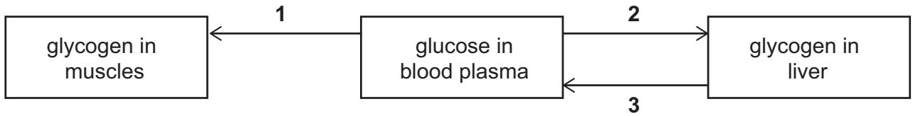 Exam diagram