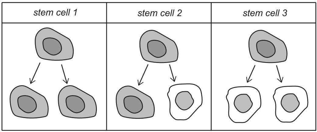 Exam diagram
